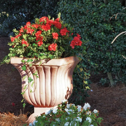Encore Azalea Autumn Embers (1 Gallon) Red Pink Flowering Shrub  Full Sun Live Outdoor Plant