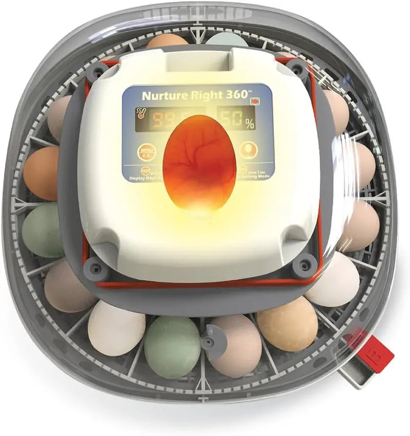 Automatic Egg Incubator  Holds 1222 Eggs, Digital Temp/Humidity Control, 360° Clear View Window, Built-In Turner