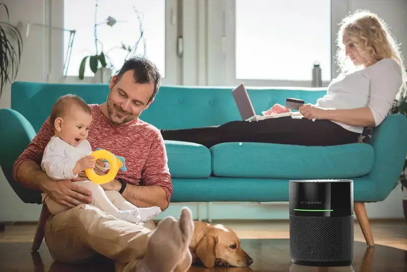Wildfire Smoke & Pet Hair Air Purifier  High-Capacity HEPA Unit for Large Spaces up to 1043 sq. ft