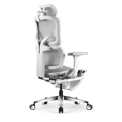 Chaise ergonomique de bureau - TERRANA en maille