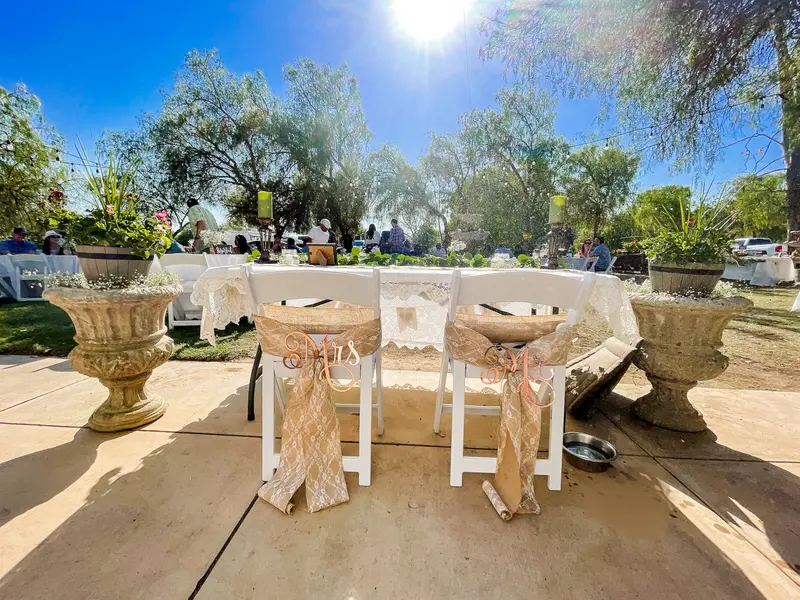 Elegant Mr. & Mrs. Chairback Signs for Ceremony Seating