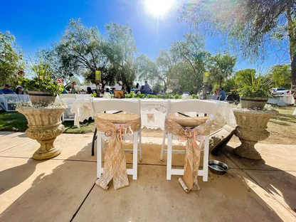 Elegant Mr. & Mrs. Chairback Signs for Ceremony Seating