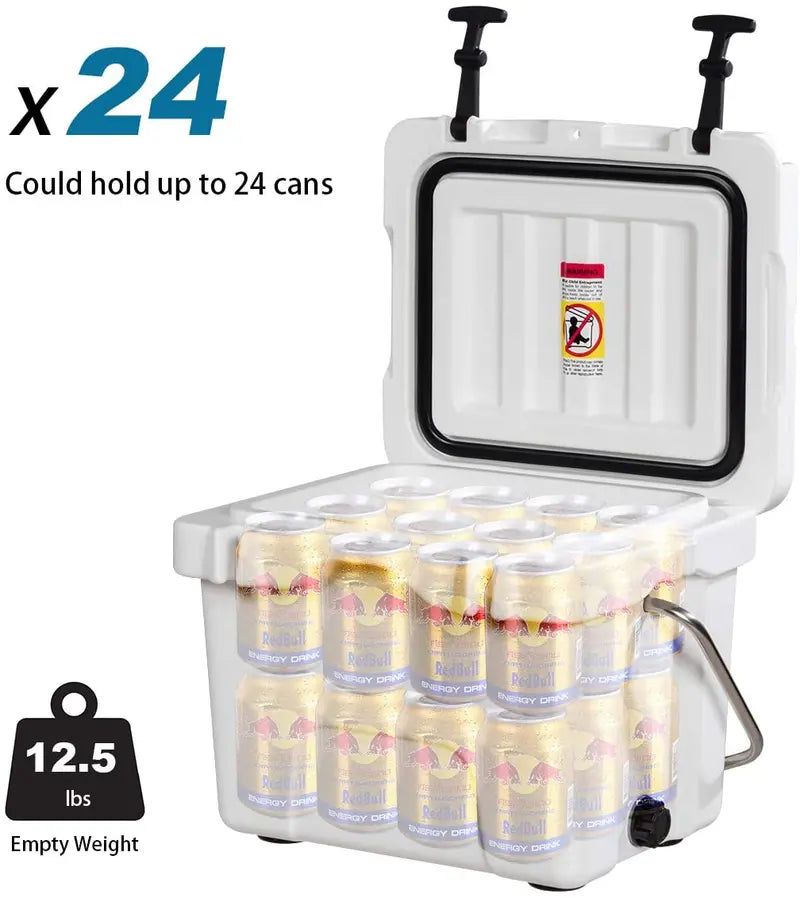 16-Quart Portable Cooler  Insulated Ice Chest for Day Trips and Outdoor Adventures