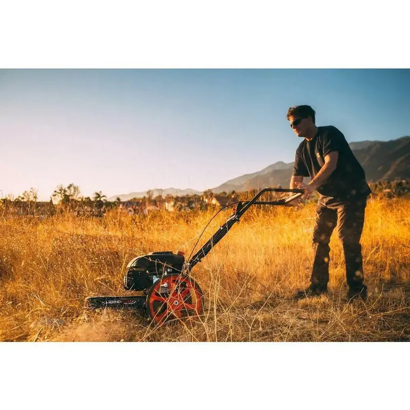 22-Inch Gas-Powered String Trimmer/Mower  173cc Engine, Walk-Behind Dual-Function Design
