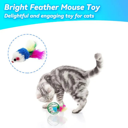 CatPlay Interactive Indoor Cat Toy Set with Feathers & Bells  6 Durable Metal Balls for Engaging Play