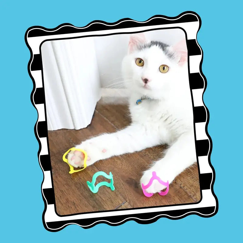 Cat Crazies Interactive Cat Toys Multi-Pack  Durable, Lightweight, Vibrant Design for Engaging Play