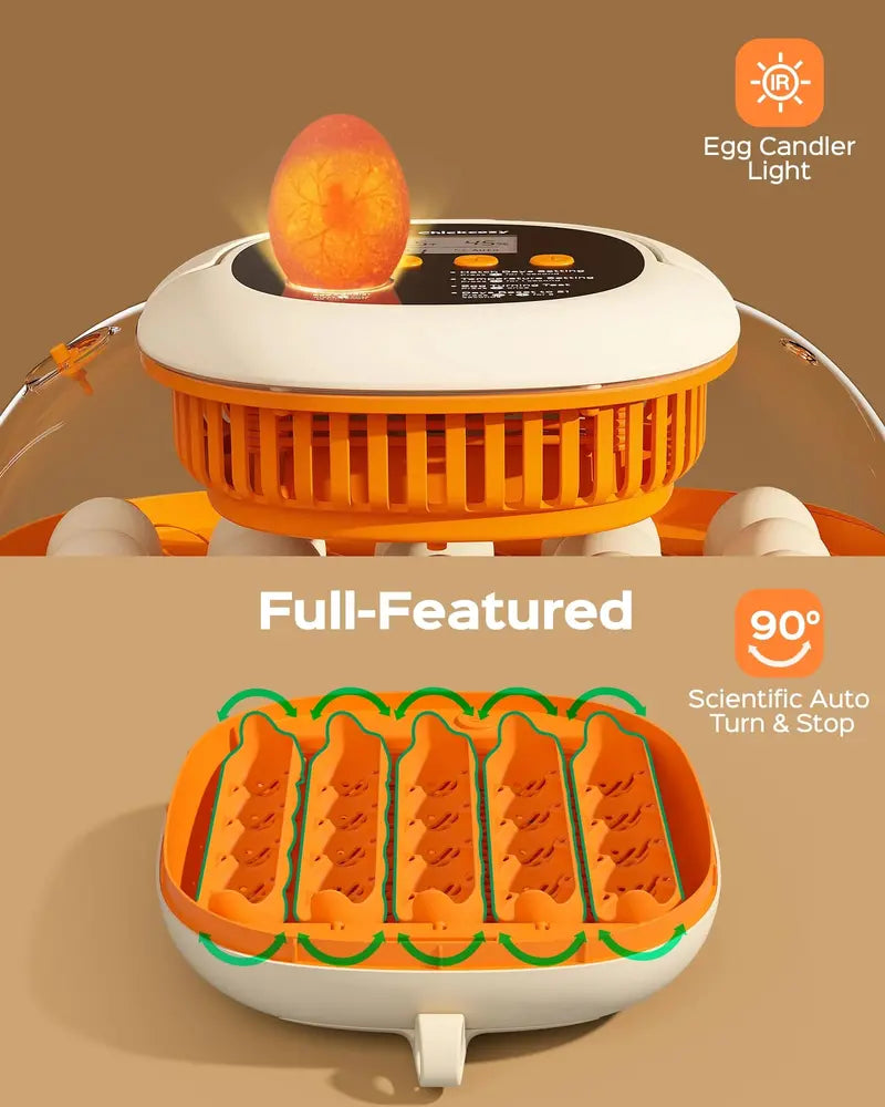 Chickcozy Fully Automatic 25-Egg Incubator for Home Hatchery Use