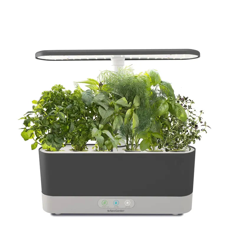 AeroGarden Harvest Slim with Gourmet Herb Seed Pod Kit, Black