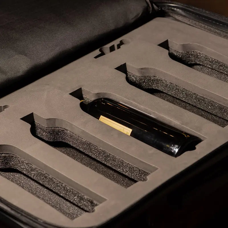 The Ten Wine Luggage  TSA-Approved, Anti-Theft Hard-Shell Spinner Suitcase for 10 Bottles