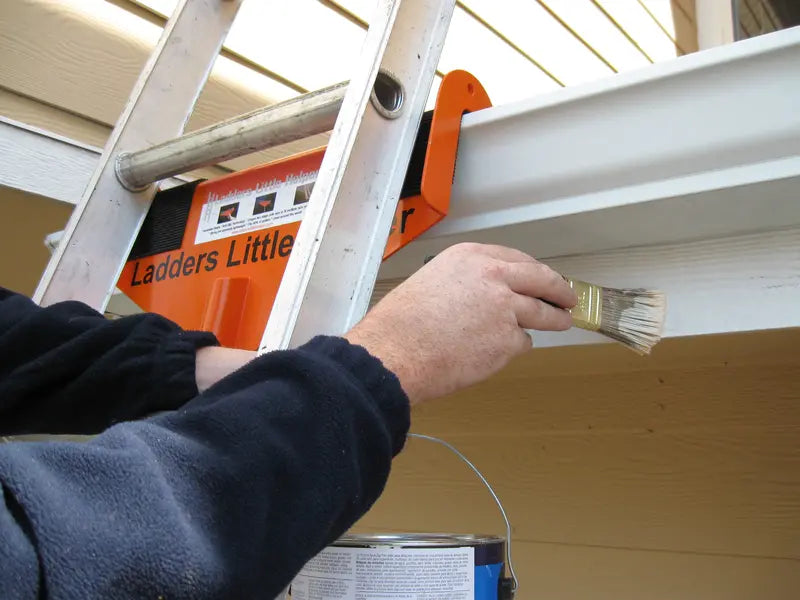 Sargent Ladder Little Helper