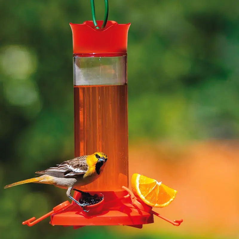 Perky Pet Fruit Trio Oriole Nectar Feeder  30 oz