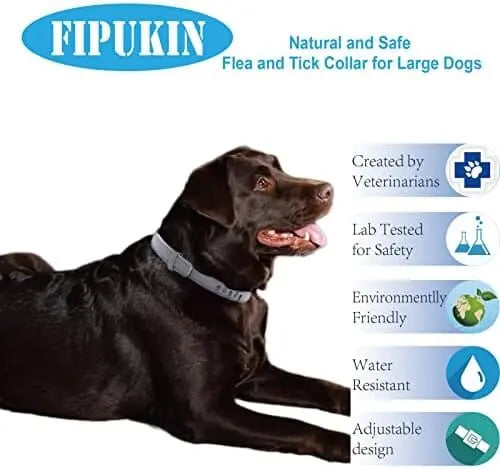 NaturalGuard Flea & Tick Collar for Large Dogs  Hypoallergenic, Plant-Based, 3-Month Protection