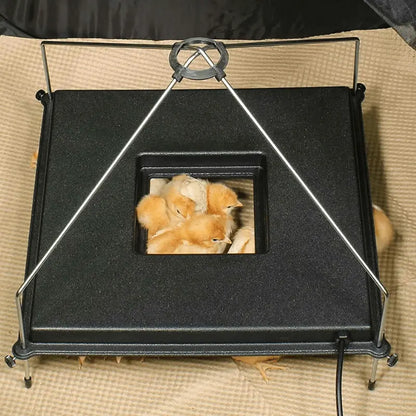 Premium Chick Brooder Plate with Adjustable Height and Viewing Port for Easy Monitoring