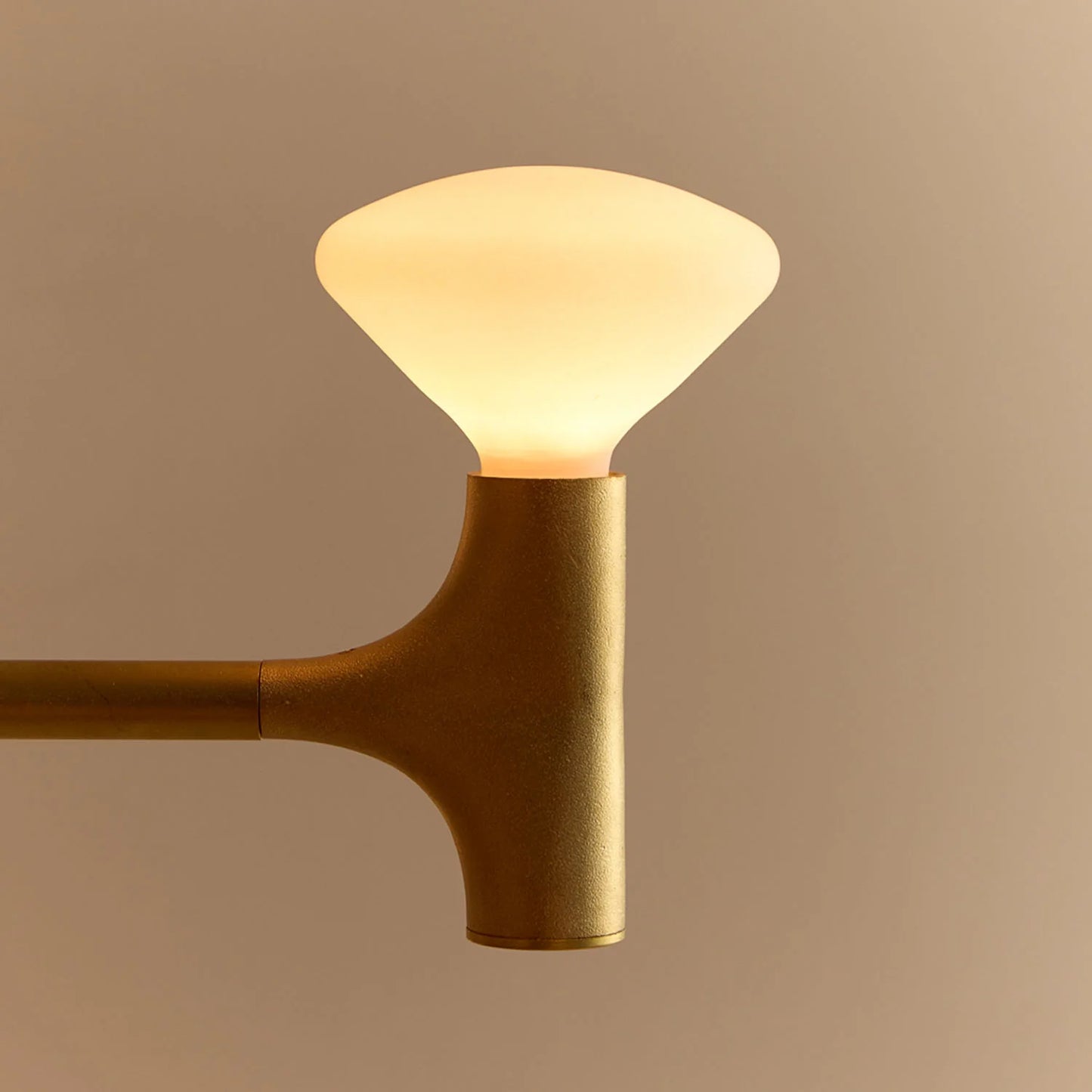 Root One-Tier Chandelier