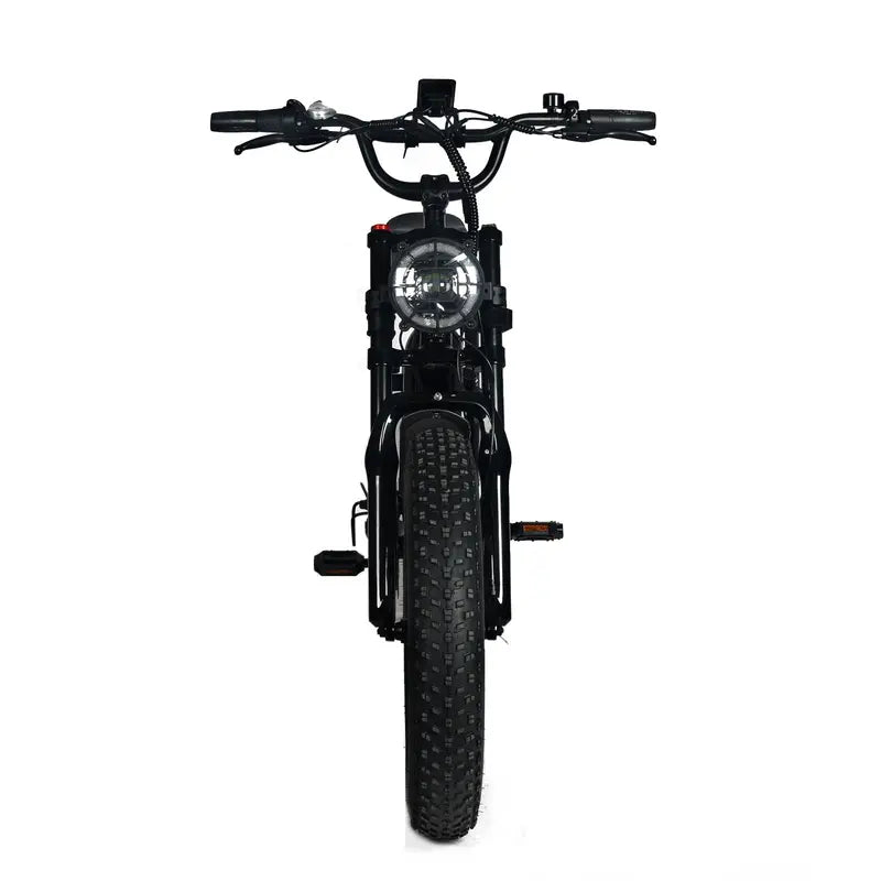 Adult Electric Fat-Tire Mountain Bike — 1000W Motor, 48V 20Ah Removable Battery, 45 MPH Top Speed