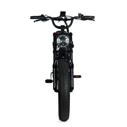 Adult Electric Fat-Tire Mountain Bike — 1000W Motor, 48V 20Ah Removable Battery, 45 MPH Top Speed