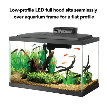 Aqueon Aquarium Starter Kit, 10 Gallon Glass Fish Tank, LED Lighting, Filter and Heater