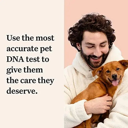 Wisdom Panel Premium Dog DNA Kit: 265+ Health Tests, 365+ Breeds, 50+ Traits, Ancestry & Relatives  1 Pack
