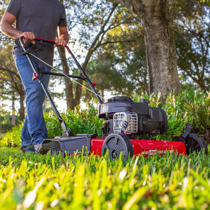 20-Inch Gas-Powered Push Lawn Mower with Briggs & Stratton Engine