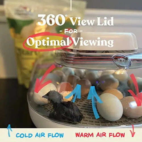 Harris Farms Nurture Right Egg Incubator for Hatching Chicks   Holds 22 Eggs