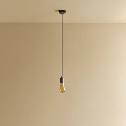 Squirrel Cage Pendant Light in Graphite