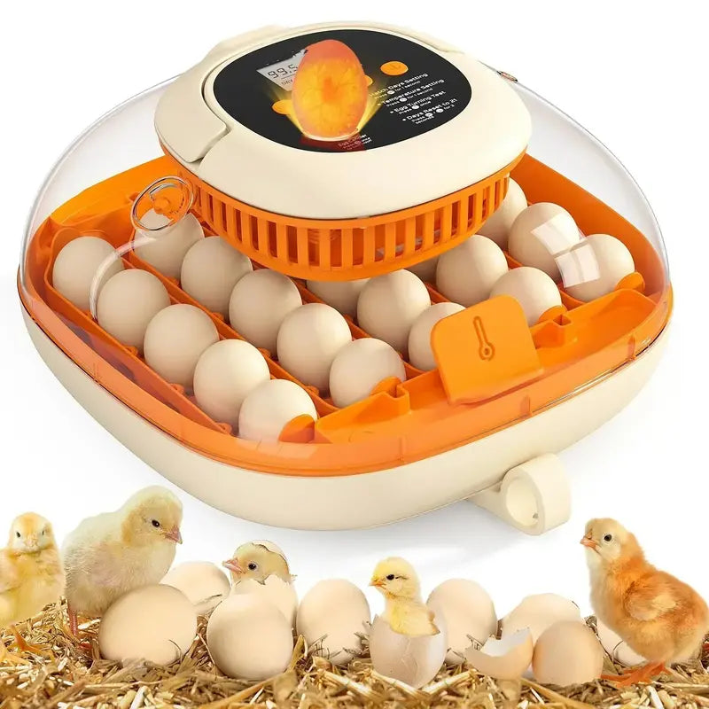 25-Egg Automatic Incubator — Digital Thermometer, Humidity Control & Built-In Egg Turner