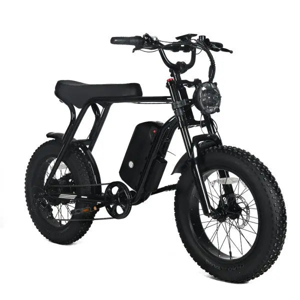 Adult Electric Fat-Tire Mountain Bike — 1000W Motor, 48V 20Ah Removable Battery, 45 MPH Top Speed