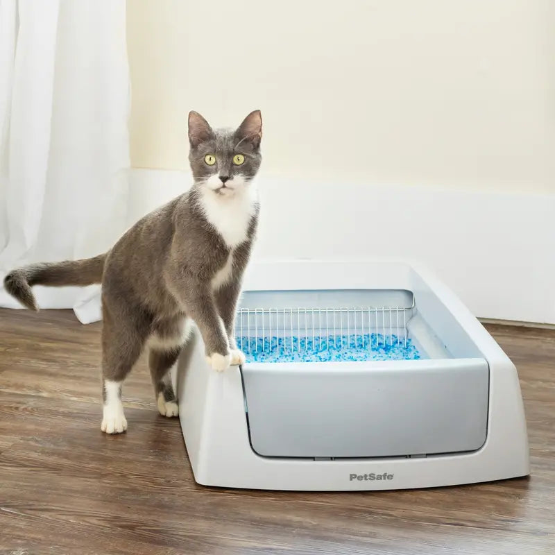 PetSafe ScoopFree Self-Cleaning Litter Box, Superior Odor Control, No Scooping, Disposable Crystal Litter Tray