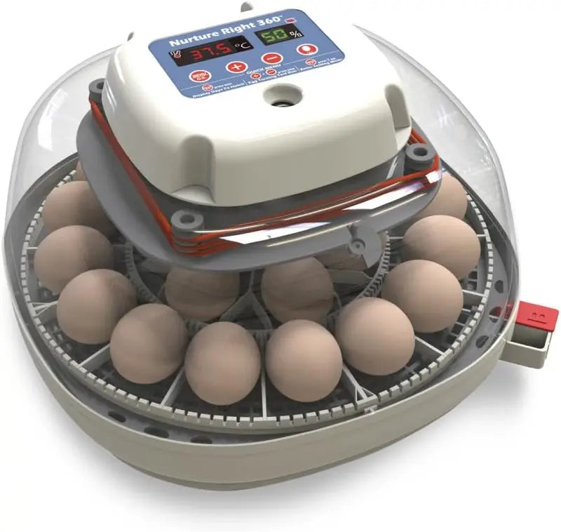 Automatic Egg Incubator  Holds 1222 Eggs, Digital Temp/Humidity Control, 360° Clear View Window, Built-In Turner