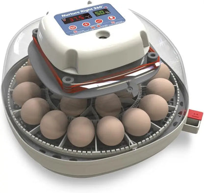 Automatic Egg Incubator  Holds 1222 Eggs, Digital Temp/Humidity Control, 360° Clear View Window, Built-In Turner