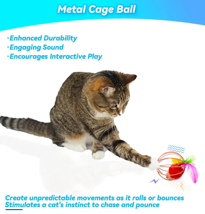 CatPlay Interactive Indoor Cat Toy Set with Feathers & Bells  6 Durable Metal Balls for Engaging Play