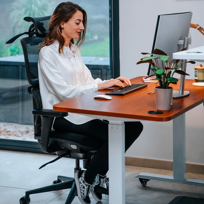Chaise ergonomique de bureau - TERRANA en mousse et maille
