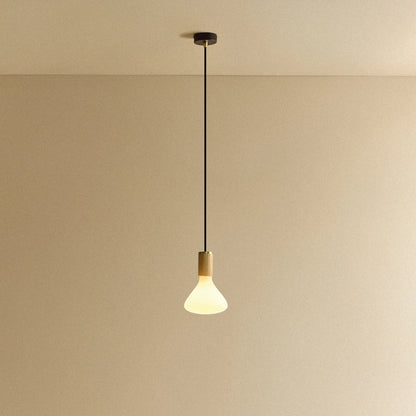 Noma Pendant Light in Oak