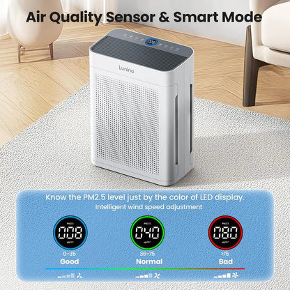 Dual-Intake Air Purifier for Large Spaces: PM2.5 Sensor, Real-Time Air Quality Display & Wide Coverage