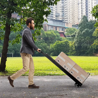2-in-1 Multi-Function Hand Truck Dolly & Step Ladder