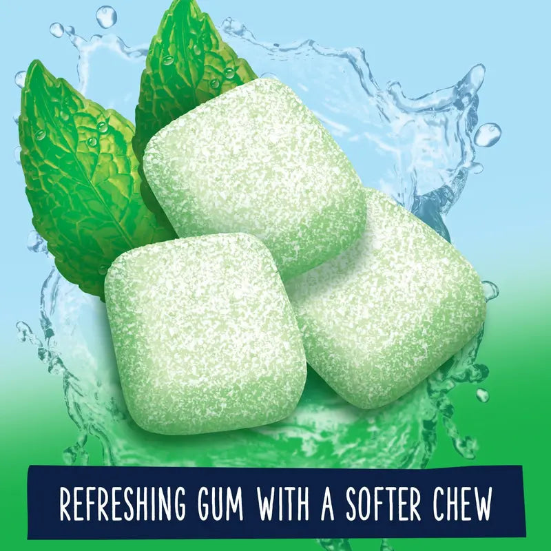 Extra Refreshers Spearmint Sugar Free Chewing Gum  40 Pieces Bottle