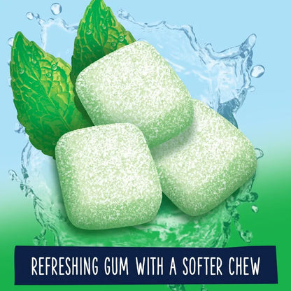 Extra Refreshers Spearmint Sugar Free Chewing Gum  40 Pieces Bottle
