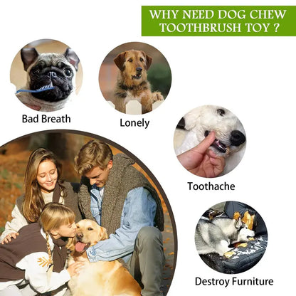 EcoPaws Natural Rubber Dog Toy, Medium to Large Breeds, Durable & Squeaky, Dental Health, Milk Flavor