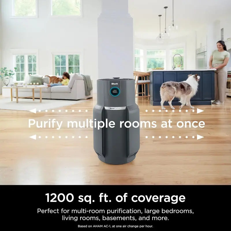 Compact Air Purifier with True HEPA Filtration  Pet Dander, Dust & Allergen Removal for Rooms up to 250 sq. ft.