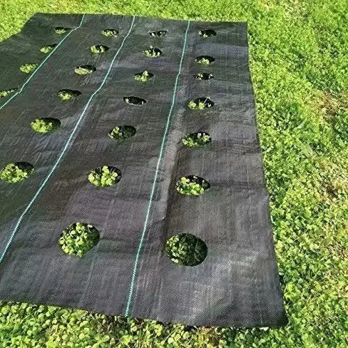 Agfabric Easy-Plant Weed Block for Raised Bed Outdoor Garden Weed Rugs Garden mat 3.0oz, 4’x12′,with Planting Hole Dia 3″