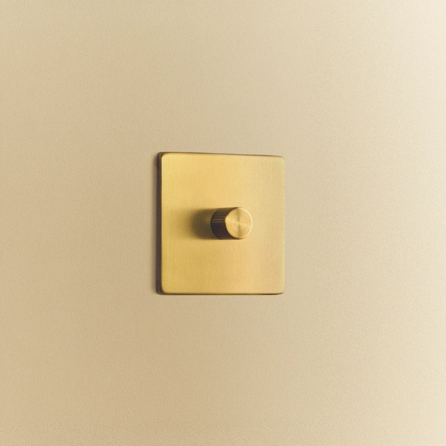 Single Rotary Wall Dimmer in Brass