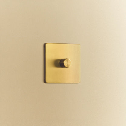 Single Rotary Wall Dimmer in Brass