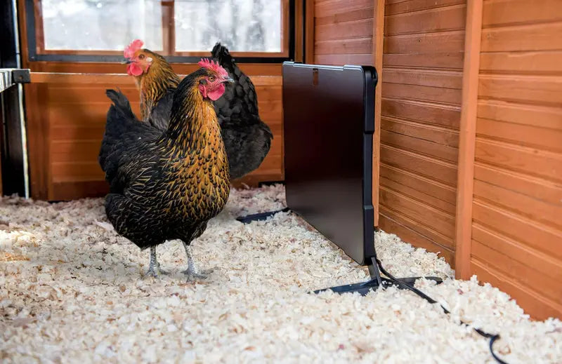 Producer’s Pride Brooder And Coop Heater