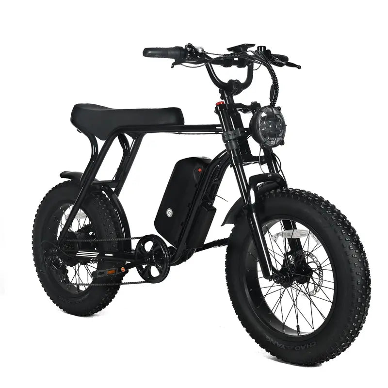 Adult Electric Fat-Tire Mountain Bike — 1000W Motor, 48V 20Ah Removable Battery, 45 MPH Top Speed
