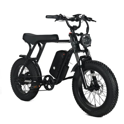 Adult Electric Fat-Tire Mountain Bike — 1000W Motor, 48V 20Ah Removable Battery, 45 MPH Top Speed