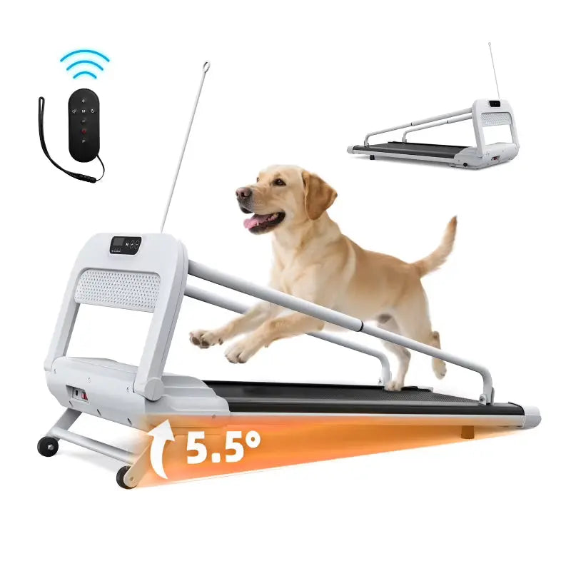 Witaxima 2025 Smart Pet Treadmill  Ultra-Quiet, Speed-Adjustable Exercise Machine for Small to Medium Dogs