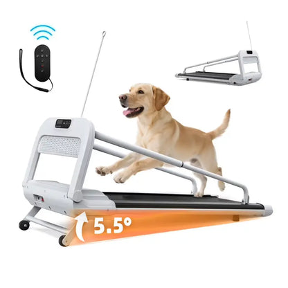 Witaxima 2025 Smart Pet Treadmill  Ultra-Quiet, Speed-Adjustable Exercise Machine for Small to Medium Dogs