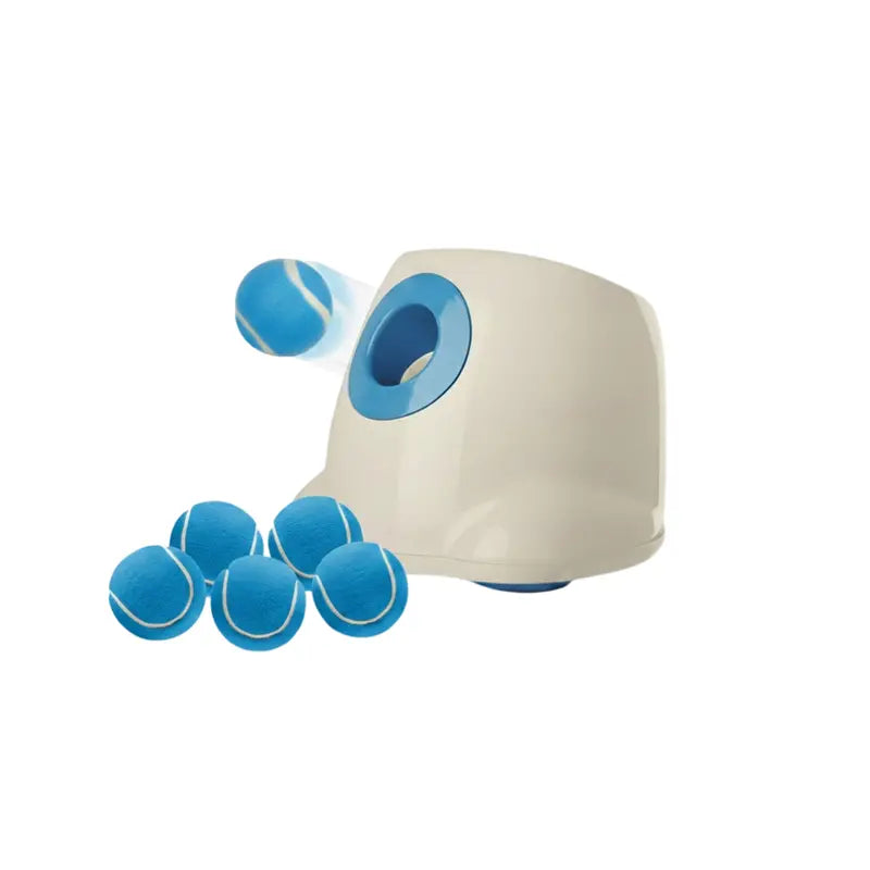Motorized Interactive Ball Launcher for Autonomous Fetch Play Sessions