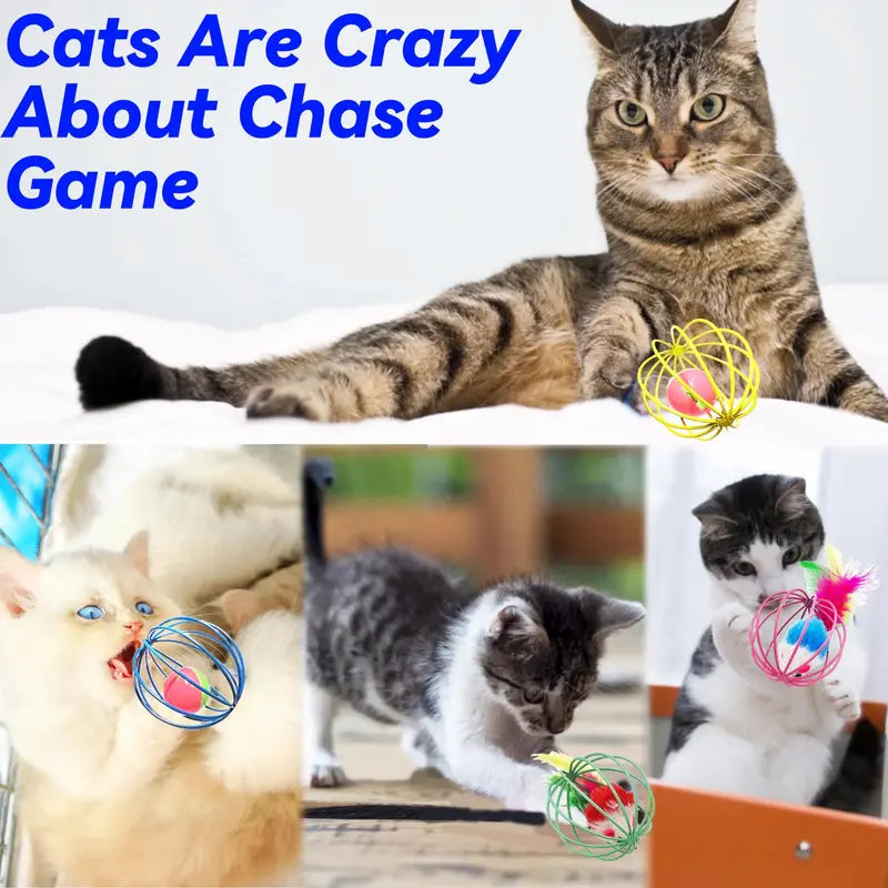 CatPlay Interactive Indoor Cat Toy Set with Feathers & Bells  6 Durable Metal Balls for Engaging Play