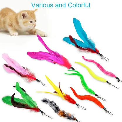 Funny Feather Cat Toy with Bell Refills, Retractable Wand, Eco-Friendly Materials, Includes 5 Feather Refills, for Active Kittens